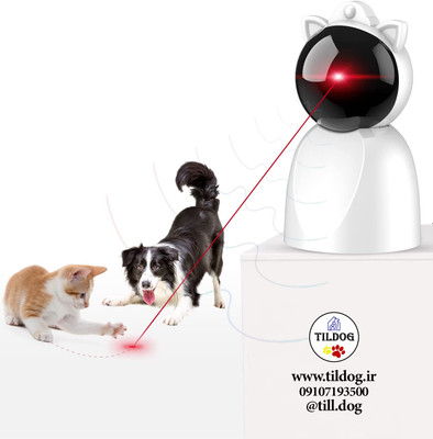  لیزر خودکار ، حیوانات خانگی برند:  YVE life  کد : R 820 ، مناسب حیوانات خانگی است