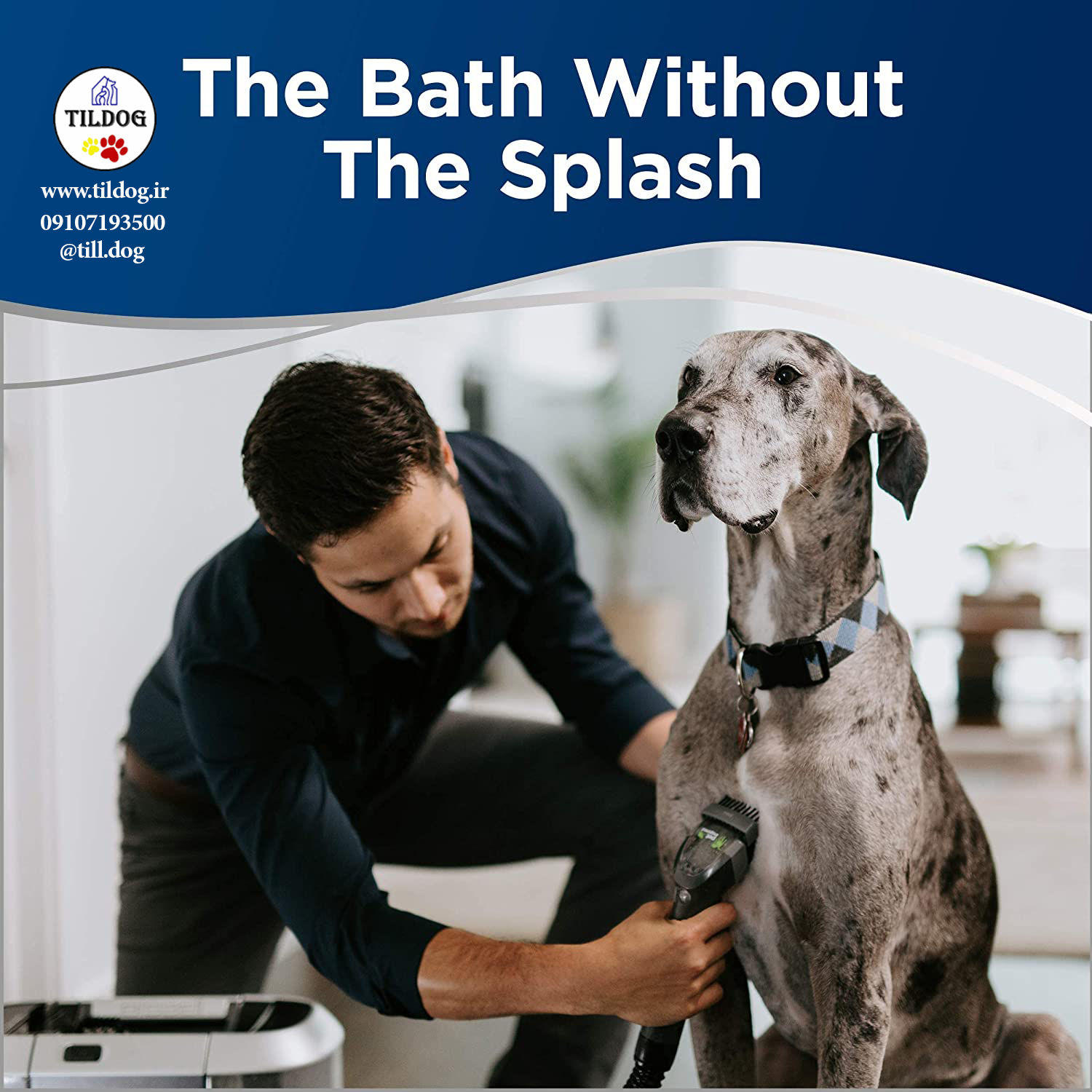 مخزن آب کثیف جداگانه می کشد. موی سگ خود را هنگام تمیز کردن برس بزنید.