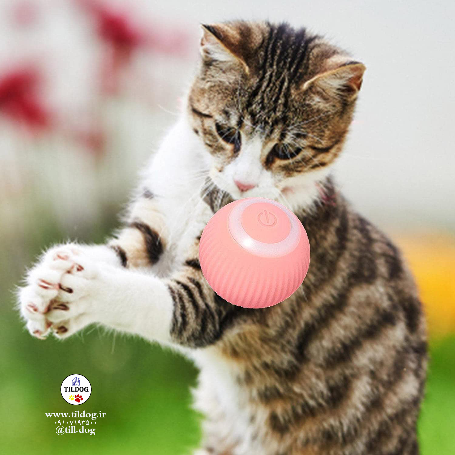 جذابیت زیادی برای گربه ها دارد و به گربه شما اجازه می دهد در حالی که هر روز اسباب بازی را تعقیب می کند ورزش کند و به حفظ سلامت گربه کمک می کند.