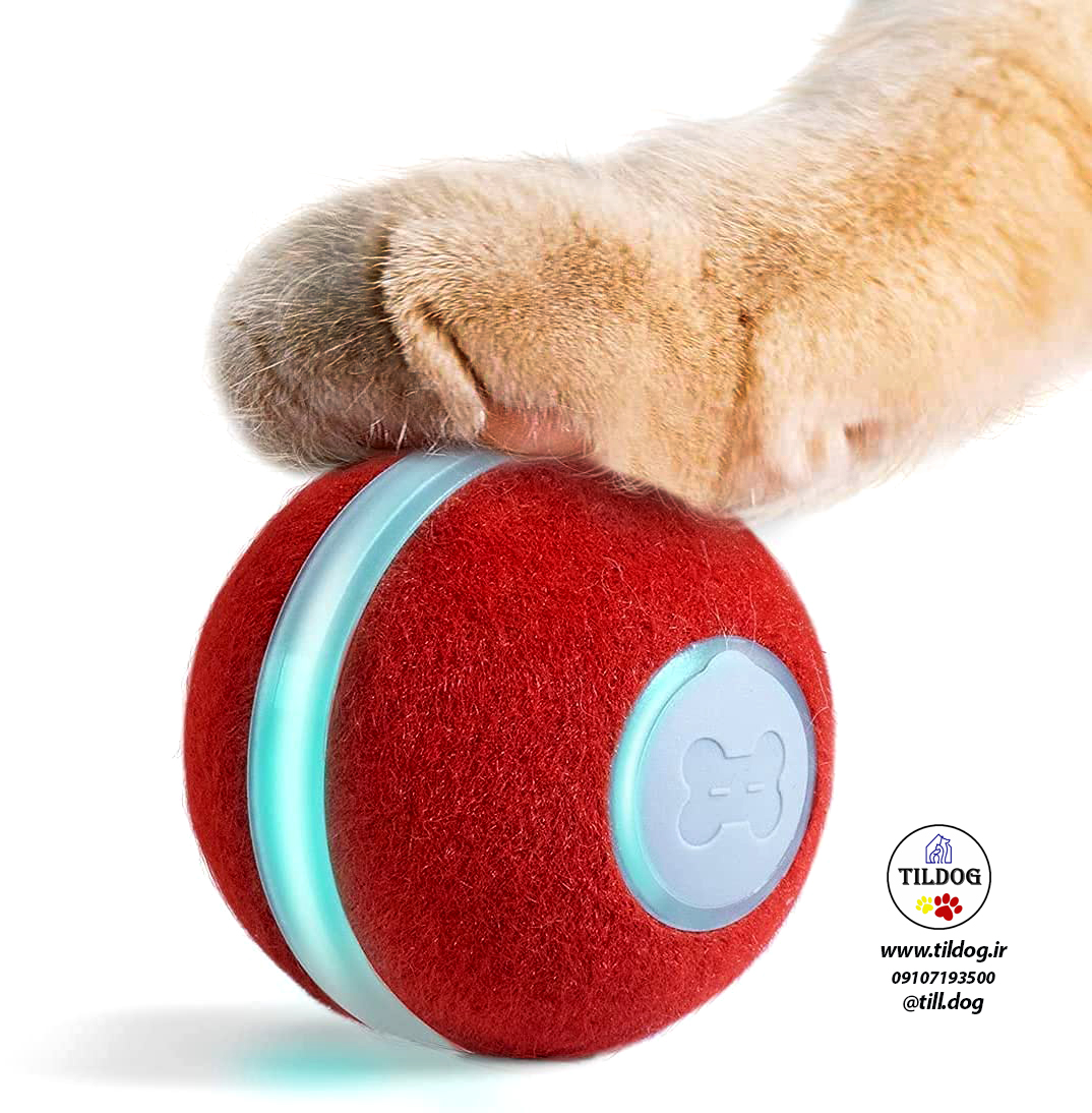 یک  اسباب بازی  جدید  برای گربه‌های بازیگوش و اسباب‌بازی تعاملی همه‌جانبه برای حیوانات خانگی کوچک است.   