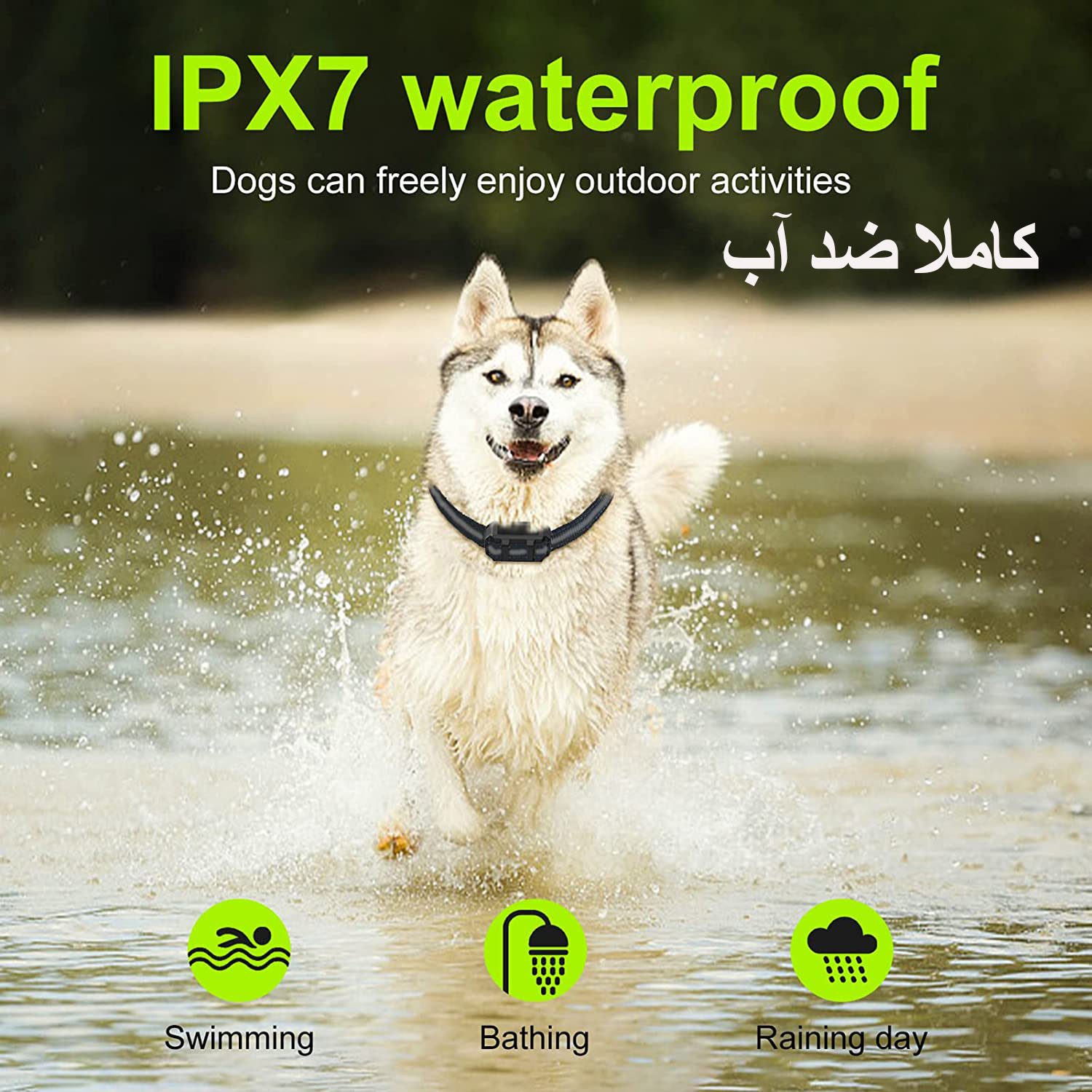 مناسب انواع سگ ، کاملا ضد آب قابل شارژ و کنترل از راه دور می باشد.