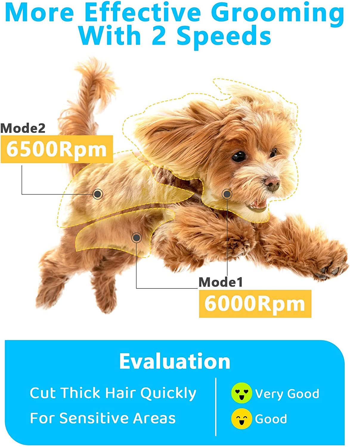  پیشنهاد ما به شما این است که اگر سگ شما به صدا بسیار حساس است ابتدا از دور 6000 استفاده کنید.