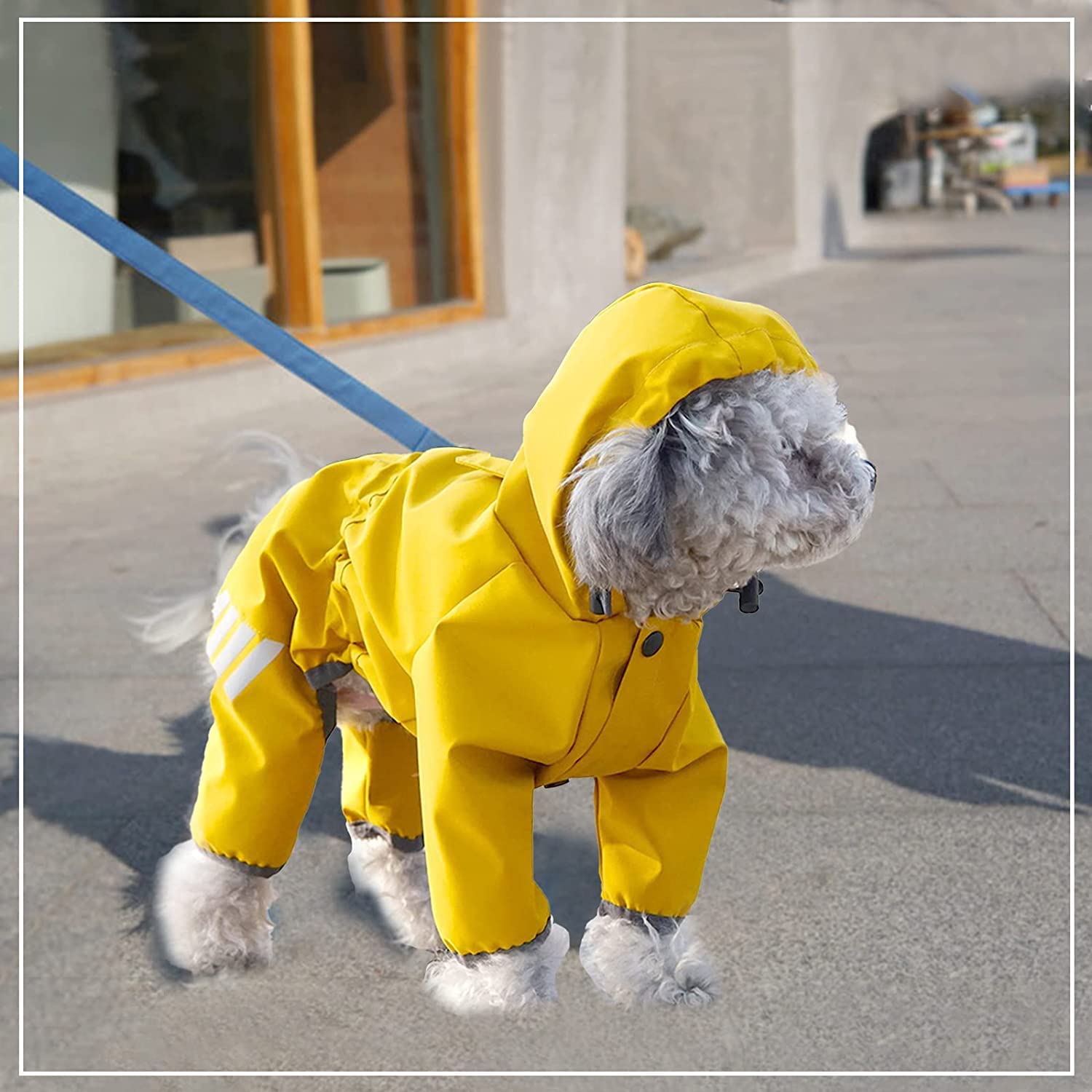  این نه تنها یک بارانی سگ است، بلکه یک مد سگ نیز هست. رنگ زرد روشن مانند آفتاب است و طراحی گوش خرسی زیباتر است. 
