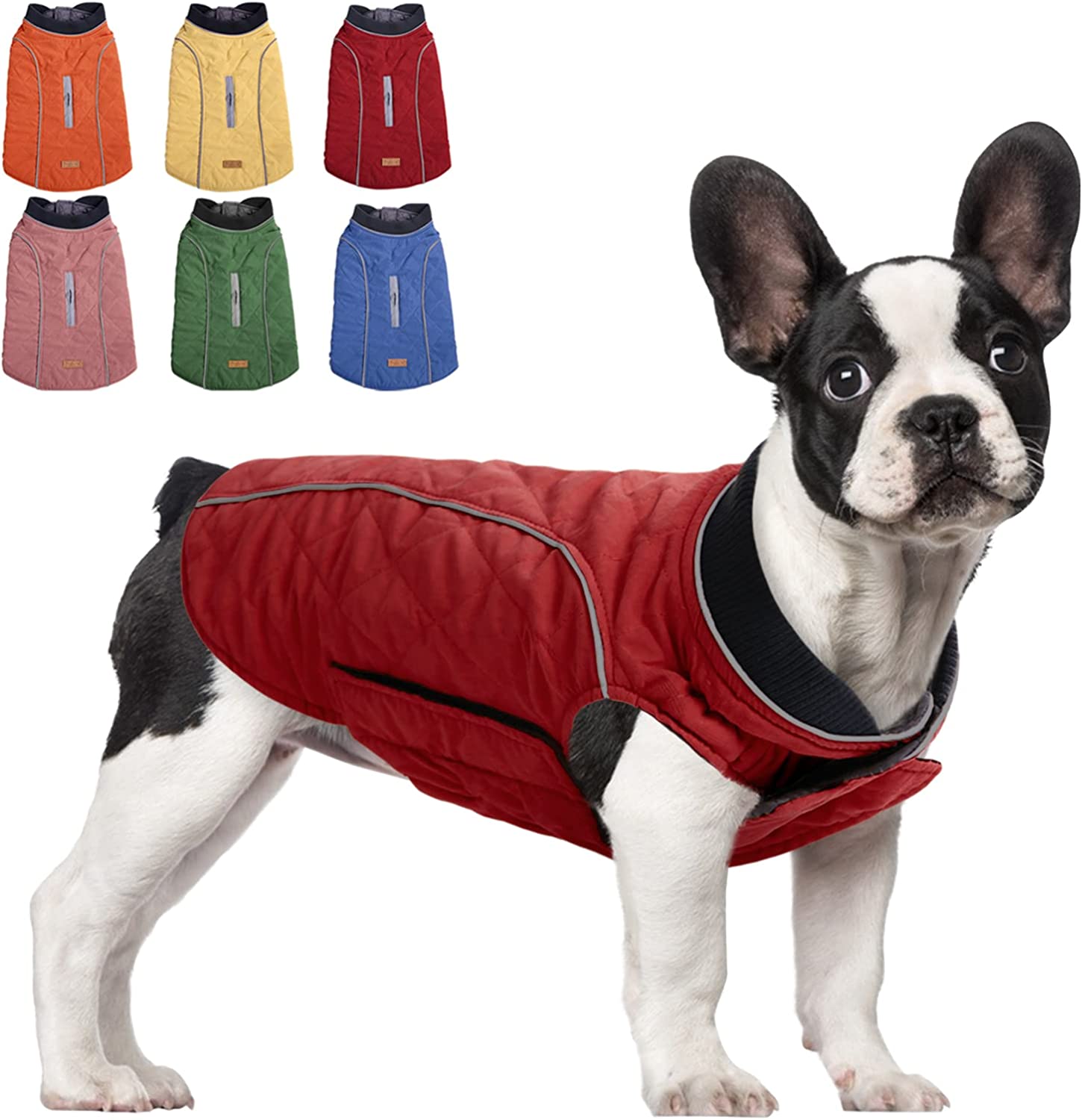 سگ ها می توانند در روزهای برفی و روزهای بارانی آزادانه سفر کنند و با پوشیدن جلیقه پنبه ای سگ SUNFURA ضخیم، بادوام و سبک، خشک بمانند. 