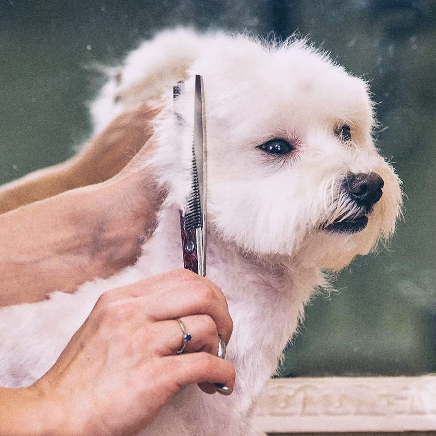 ست حرفه ای قیچی آرایش و اصلاح مو و نظافت سگ از جنس استنلس استیل 6 در 1 برند: Gimars کد : N 130