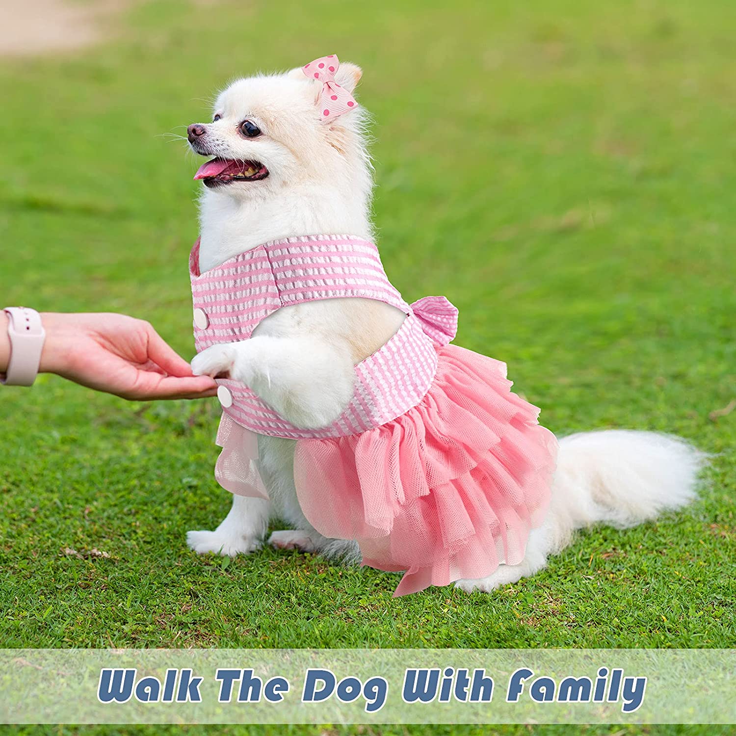 لباس سگ با توری زیبا و 6 پاپیون موی سگ در 3 سبک برند: Weewooday کد : ps 521