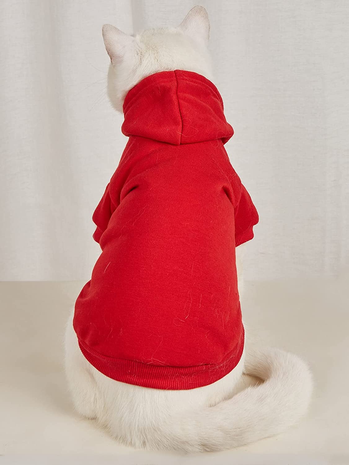   طراحی آستین کوتاه و هودی می تواند حیوانات خانگی شما را در روزهای سرد گرم نگه دارد