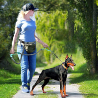دستگیره اضافی برای کنترل آسان: سگ شما تحت کنترل شماست، به راحتی سگ را با دسته های دوگانه تعبیه شده به محل امنی برگردانید. کنترل مستقیم تری داشته باشید و از دعوای سگ با دسته قلاده جلوگیری کنید.