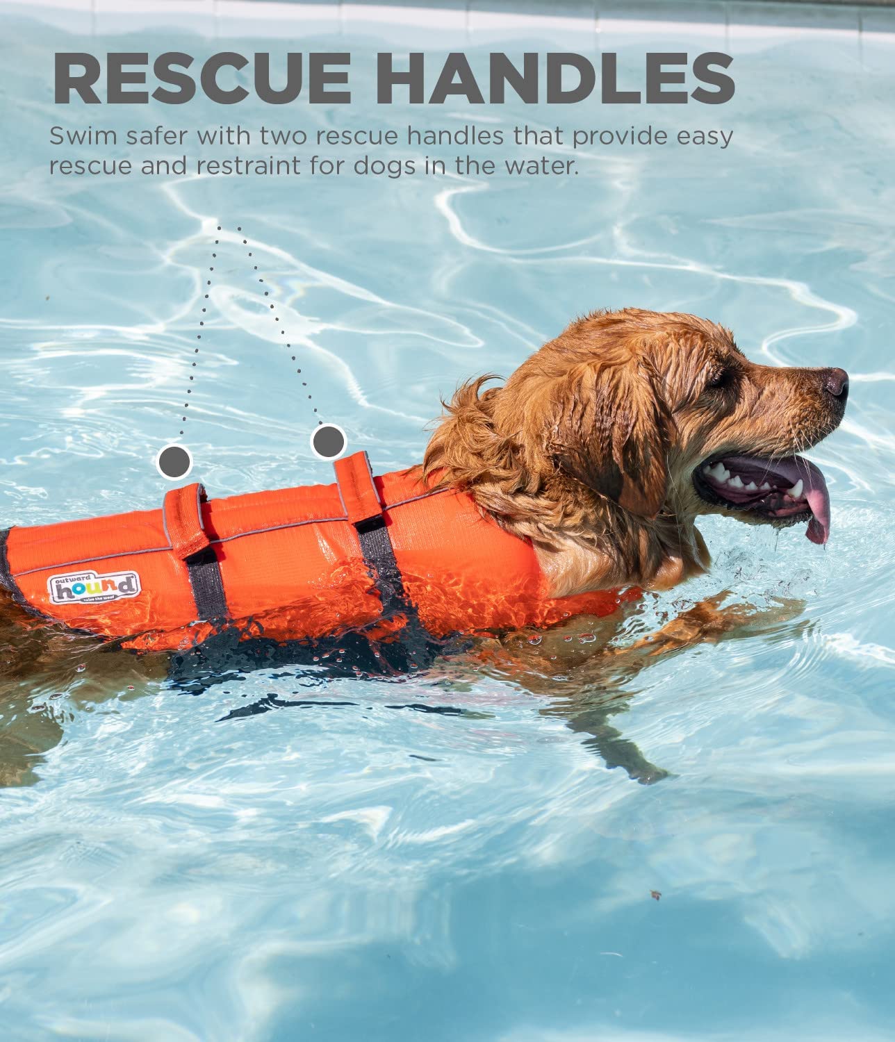 شناور جلوی گردن کمک می کند سر سگ شما را بالاتر از آب نگه دارد، چه یک شناگر تازه کار یا با تجربه باشد.