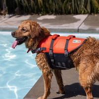 دستگیره های دوگانه مهار و بلند کردن سگ شما از آب را آسان می کند و دسترسی آسان را فراهم می کند.