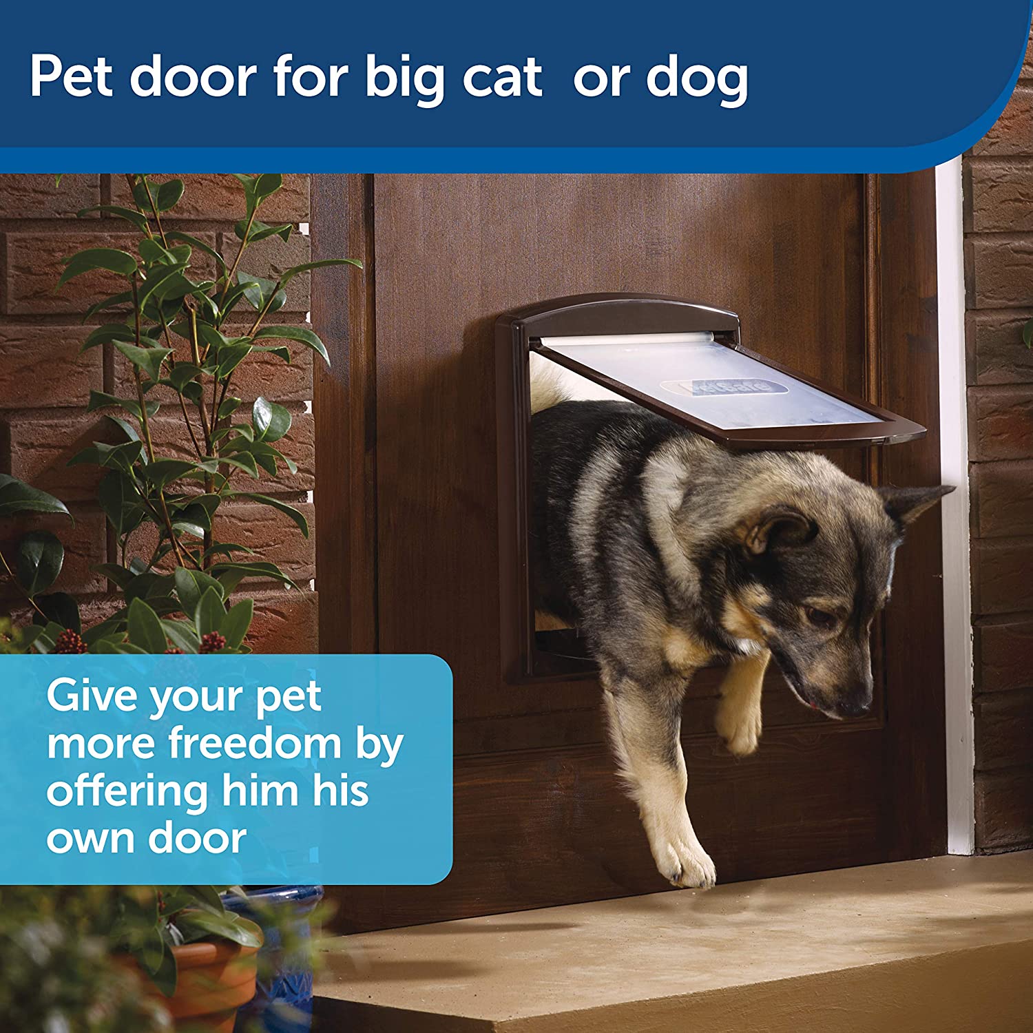  نصب درب حیوانات خانگی در درهای ضخیم تر با گسترش تونل اختیاری که با درب های حیوانات خانگی متوسط ​​و بزرگ ارائه شده است، ساده شده است، اما خرید اضافی برای درب های کوچک حیوانات خانگی است.