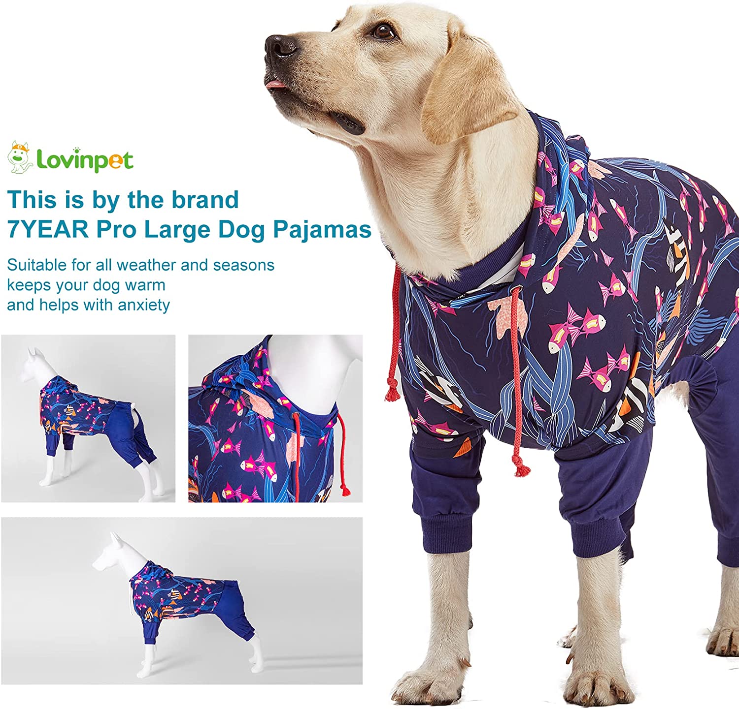  پوشیدن Pjs های حیوان خانگی برای سگ های بزرگ نه تنها سگ را زیبا و شیک نشان می دهد
