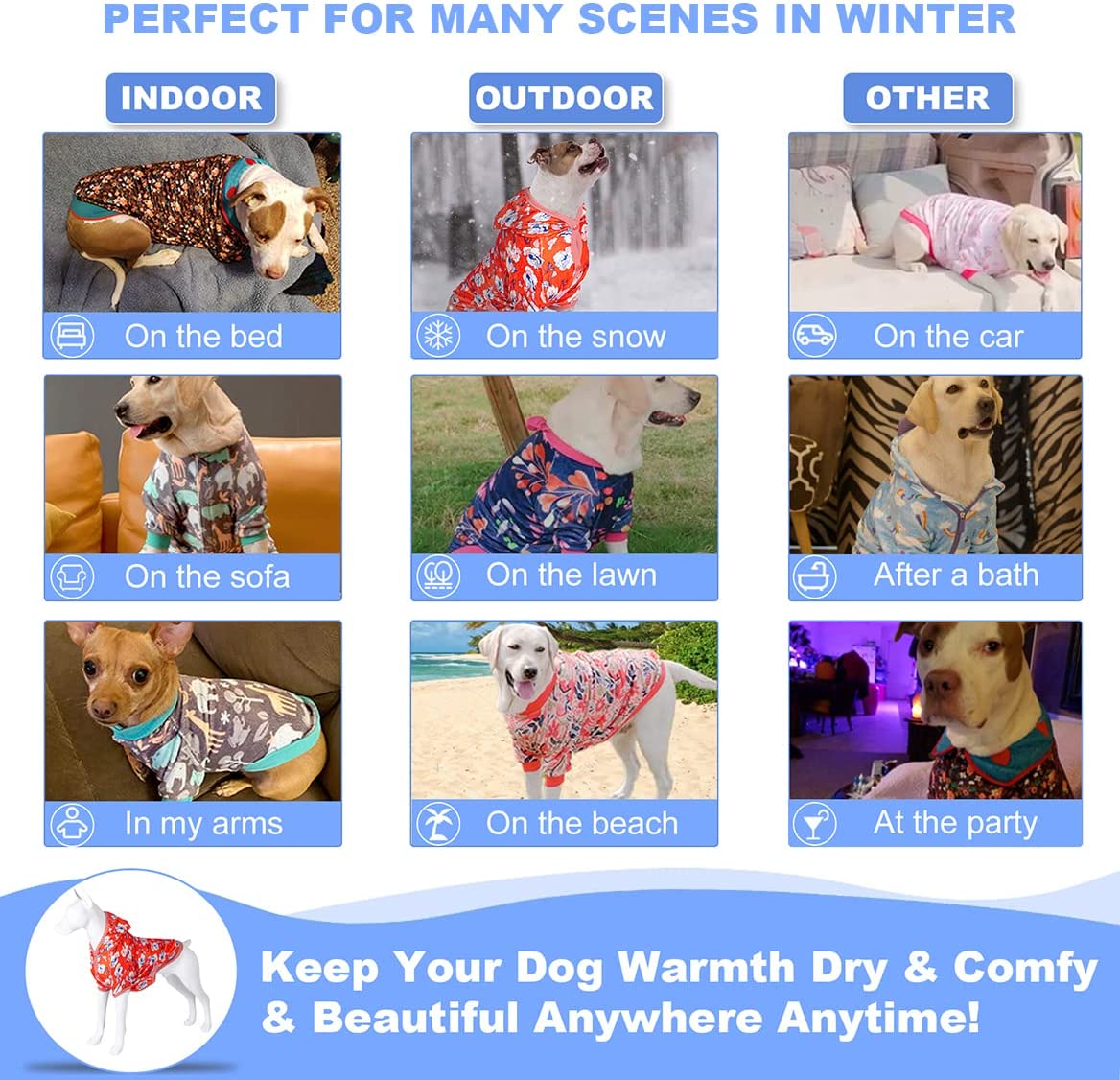 هودی های زمستانی عالی برای توله سگ من