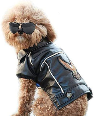 کاپشن چرمی موتور سیکلت سگ ، کت چرمی نیولا Cuteboom Dog Winter Coat Pu for Dog Pet Clothes کت چرم ضد آب (XL)