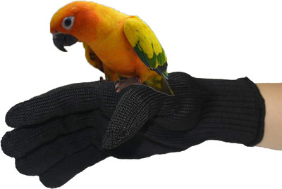 دستکش ضد گزش و آموزش پرنده برند: Bac-kitchen کد : B 130