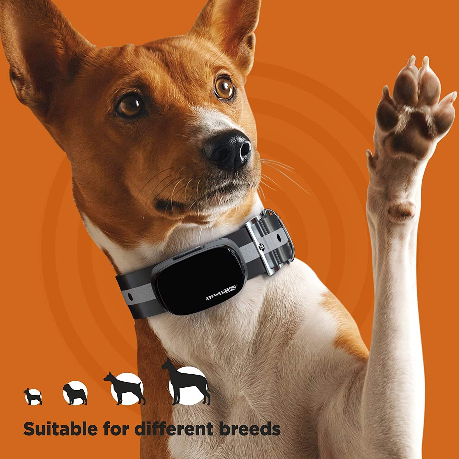  قلاده آموزش سگ دارای دو کانال است که می توانید همزمان دو سگ را کنترل کنید
