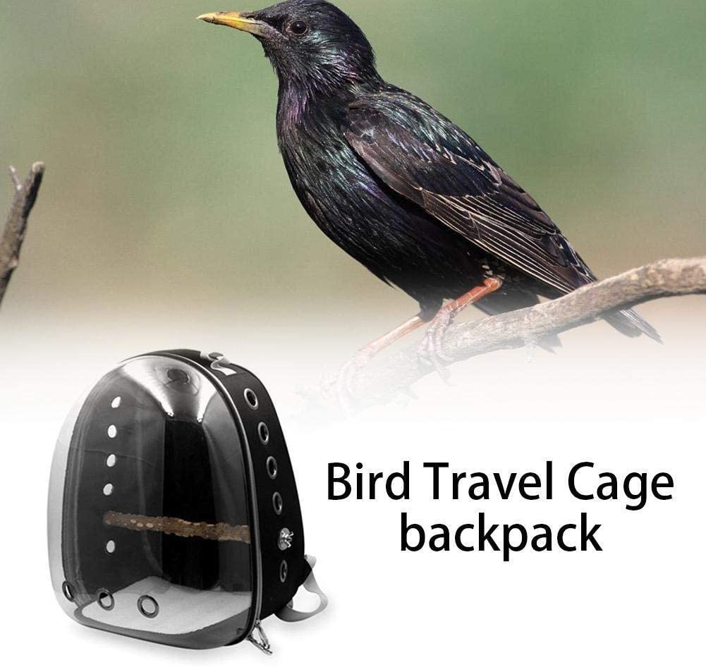  طراحی پانوراما کیسه حمل مسافرتی پرنده نمای وسیع تری را ارائه می دهد و سطح استرس پرنده حیوان خانگی را کاهش می دهد
