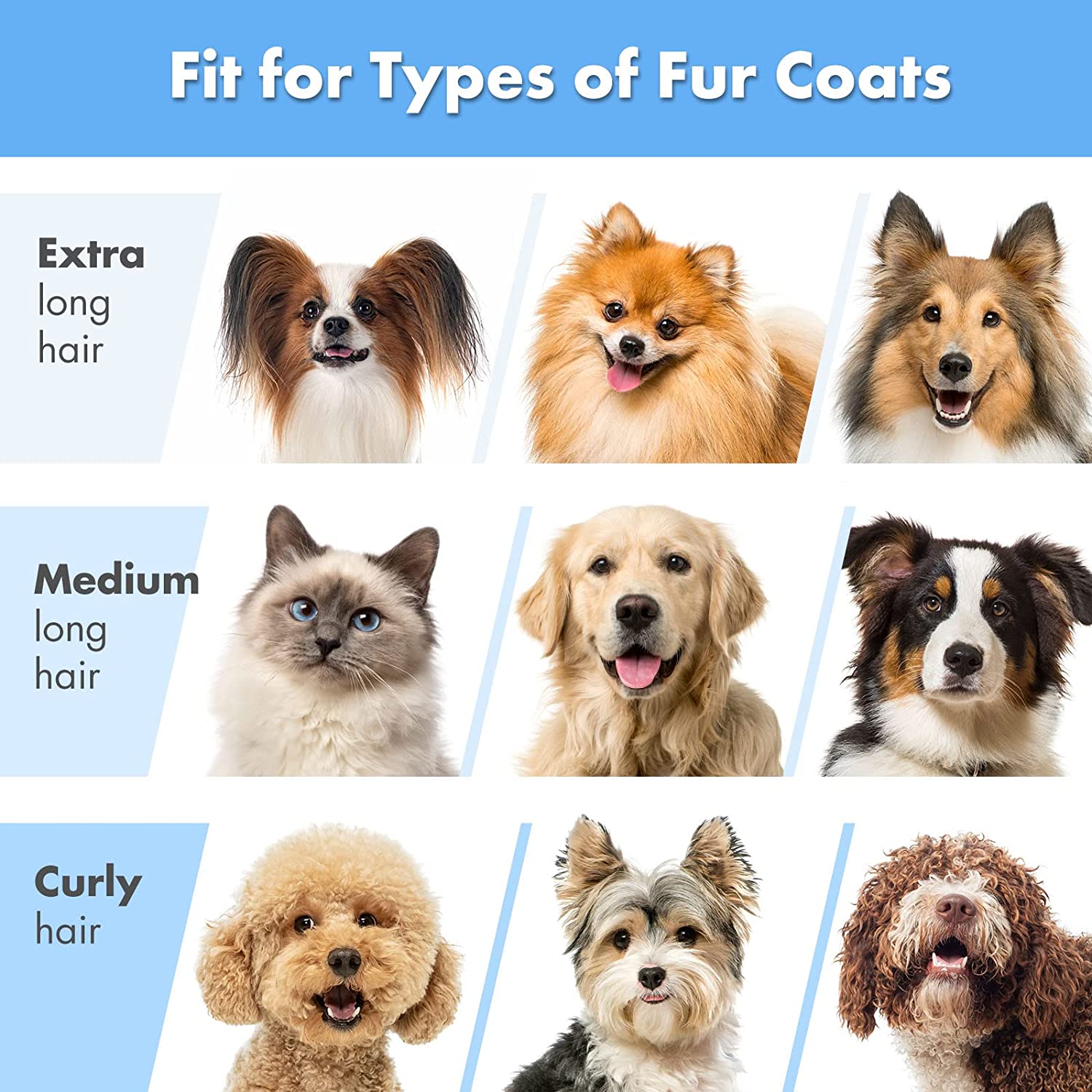   مدل موی مورد علاقه خود را برای حیوان خانگی خود انتخاب کنید این گیره برقی خانگی بسیار آسان برای استفاده است