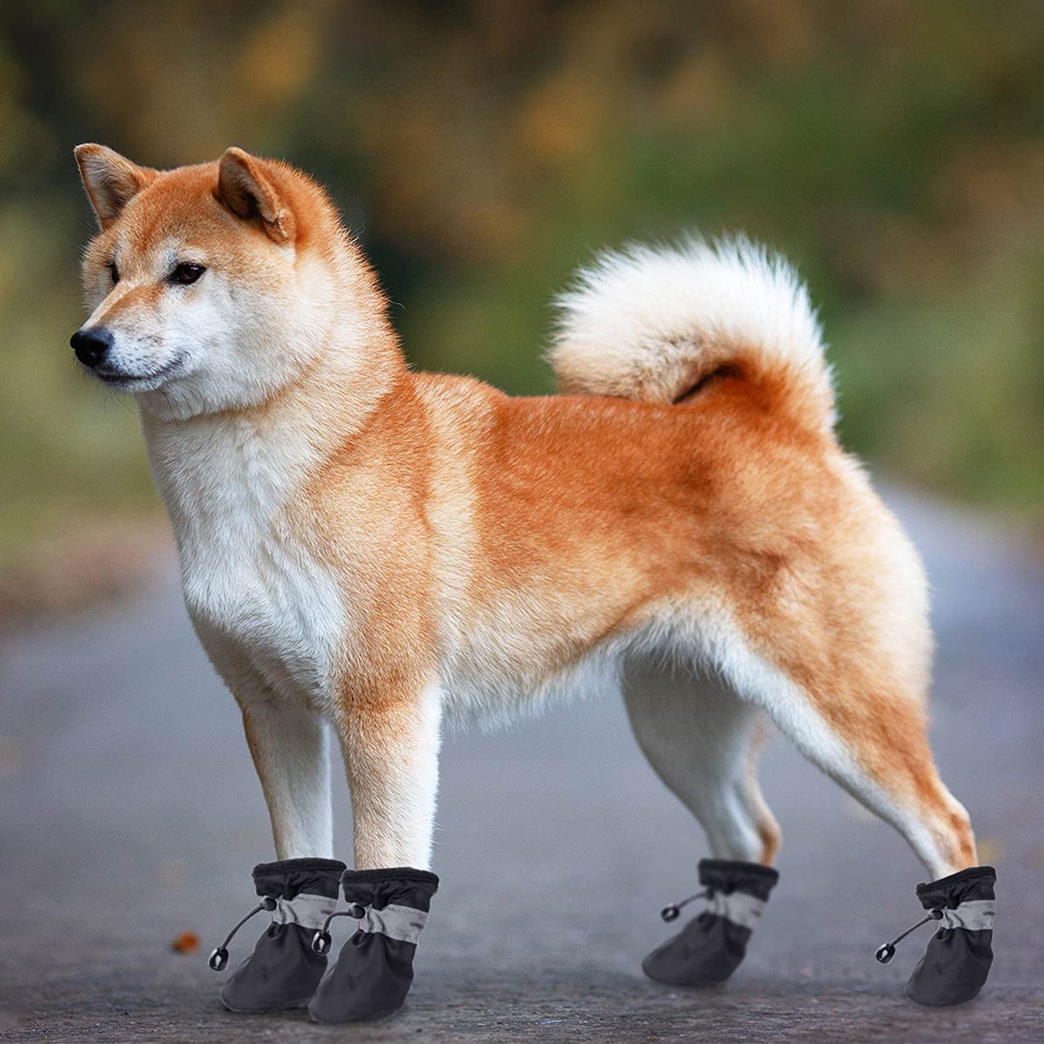 اجتناب از سرمازدگی: به دلیل دمای پایین در زمستان، یخ زدن پای سگ آسان است. پوشیدن کفش می تواند شما را بدون آسیب رساندن به پاهایتان گرم نگه دارد.