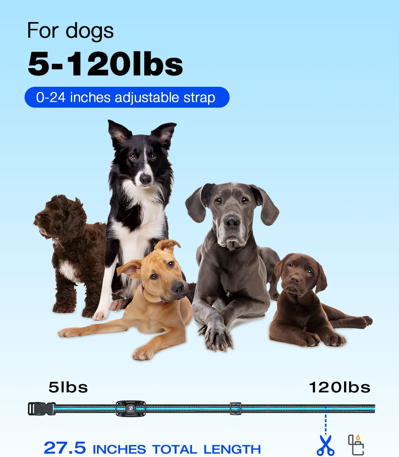 با دو کانال، برای آموزش همزمان 2 سگ در فضای باز در فواصل تا 3/4 مایل عالی است.