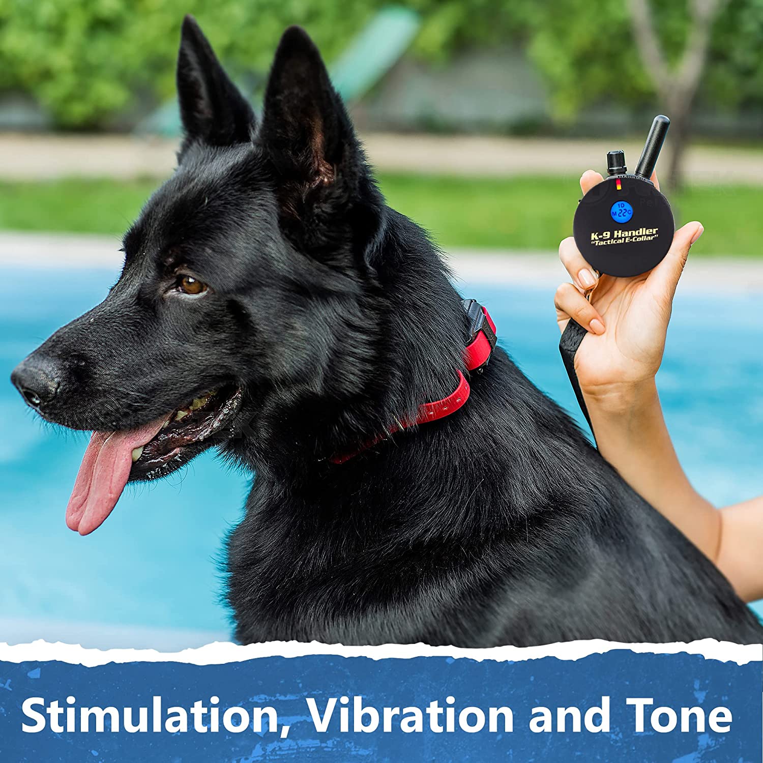 برخلاف سایر قلاده های مربی سگ از راه دور، فرستنده از راه دور و قلاده سگ الکترونیکی ما هر دو ضد آب هستند و کنترل از راه دور حتی در آب شناور می شود.