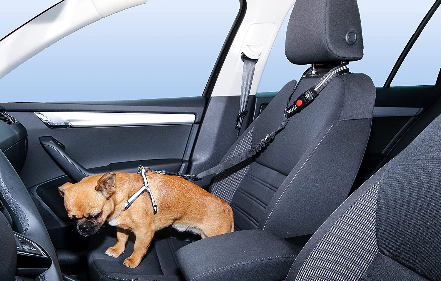 دستک قابل تنظیم و تسمه های نایلونی بدون گره خوردن به راحتی به پشتی سر خودرو متصل می شوند. بند ایمنی به راحتی جدا می شود و آن را بند سگ مناسبی برای صندلی عقب خودروی شما می کند.