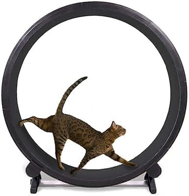 چرخ  غلتان ورزش گربه قطر چرخ دونده گربه 1.2 متر مناسب برای گربه پرانرژی برند : HYRL  کد : CH 200