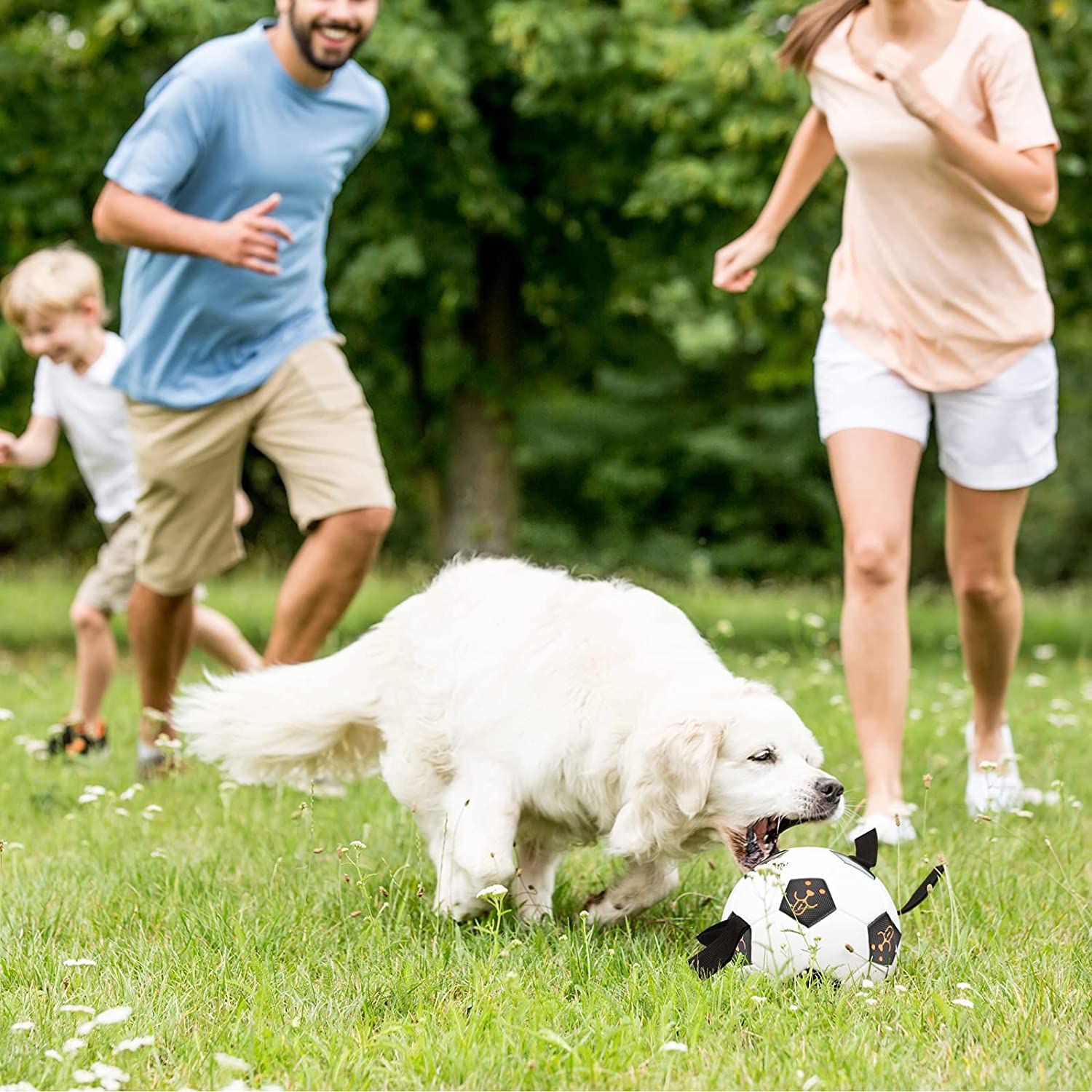 طراحی جذاب توجه سگ شما را به خود جلب می کند تا از بازی لذت ببرند.