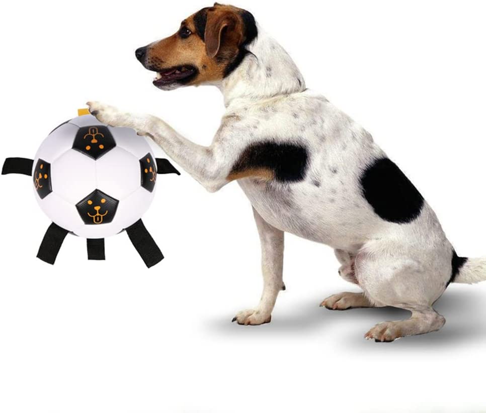 قبل از استفاده توپ را باد کنید. این اسباب بازی سگ برای بازی در آب در استخرها، دریاچه ها و سواحل عالی است