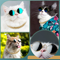 عینک گربه و زنجیر گربه را می توان به عنوان هدایای خوبی که به گربه ها یا سگ های کوچک در روز تولد، کریسمس و دیگر روزهای خاص داده می شود، استفاده کرد و نشان دهنده مراقبت شما از آنها است.