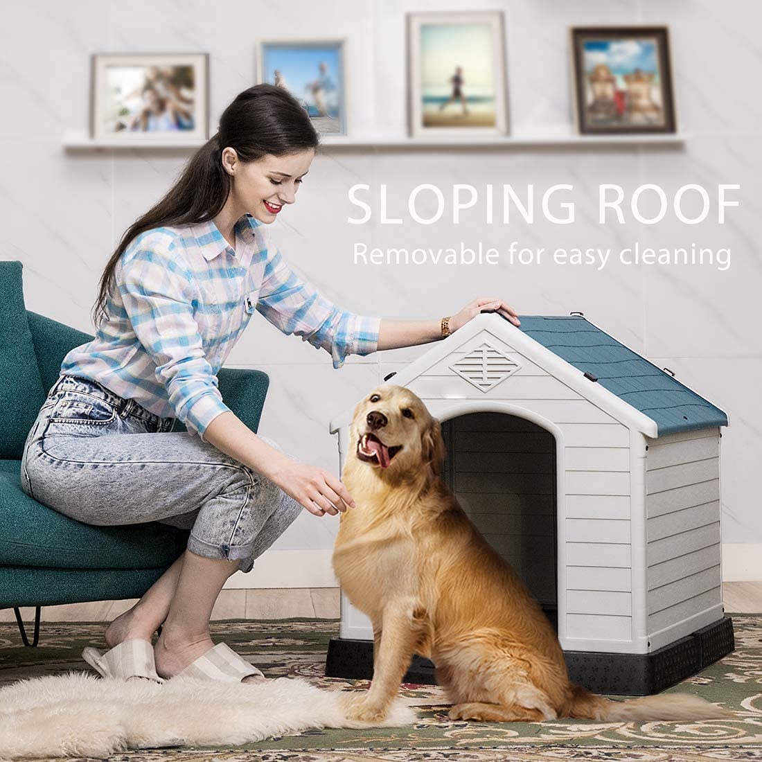 طراحی جداشدنی و سطح صاف خانه حیوان خانگی ما تمیز کردن را آسان تر می کند