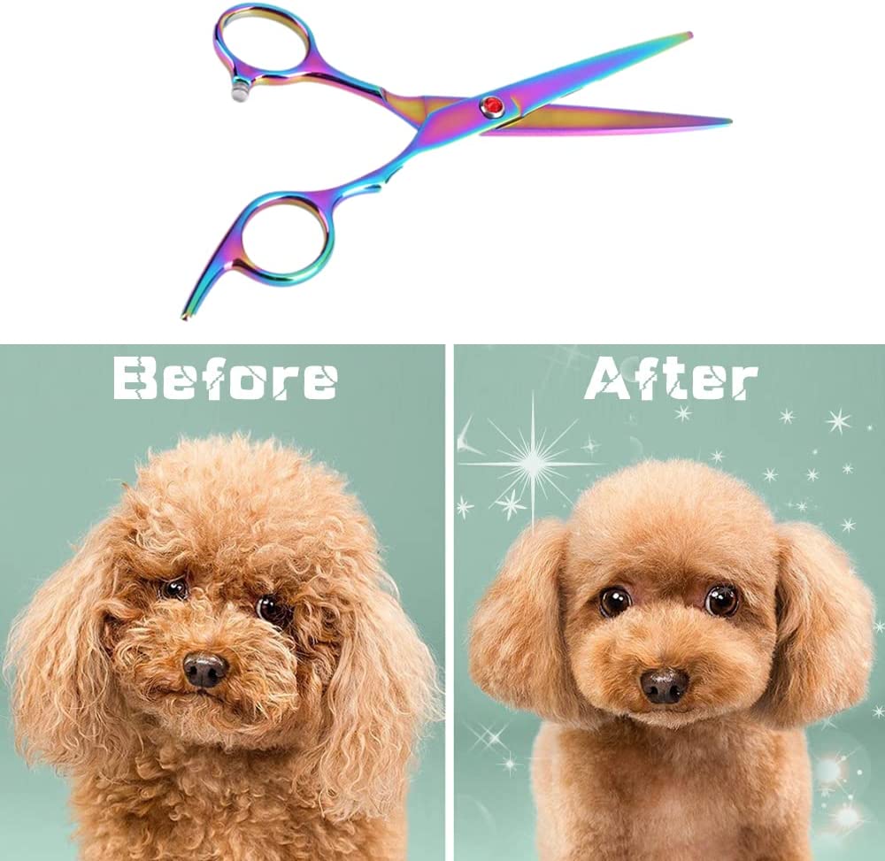  با مجموعه قیچی نظافت سگ ما، صاحبان حیوانات خانگی می توانند مدل موی حیوانات خانگی خود را آزادانه بسازند و همزمان در هزینه های آرایشگری حیوانات خانگی زیادی صرفه جویی کنند