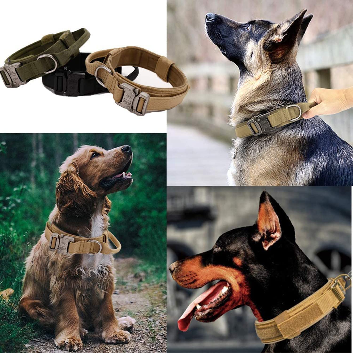 طراحی دکمه یقه یکپارچه برای قلاده سگ آموزشی نظامی، یک دکمه برای باز کردن قفل، گذاشتن و برداشتن آن آسان است، سگک فلزی قابل تنظیم است