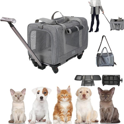 کیف تاشو و چهارچرخ حمل کننده حیوانات خانگی 3 در 1  برند : AzzmaAii  کد : KT 1003