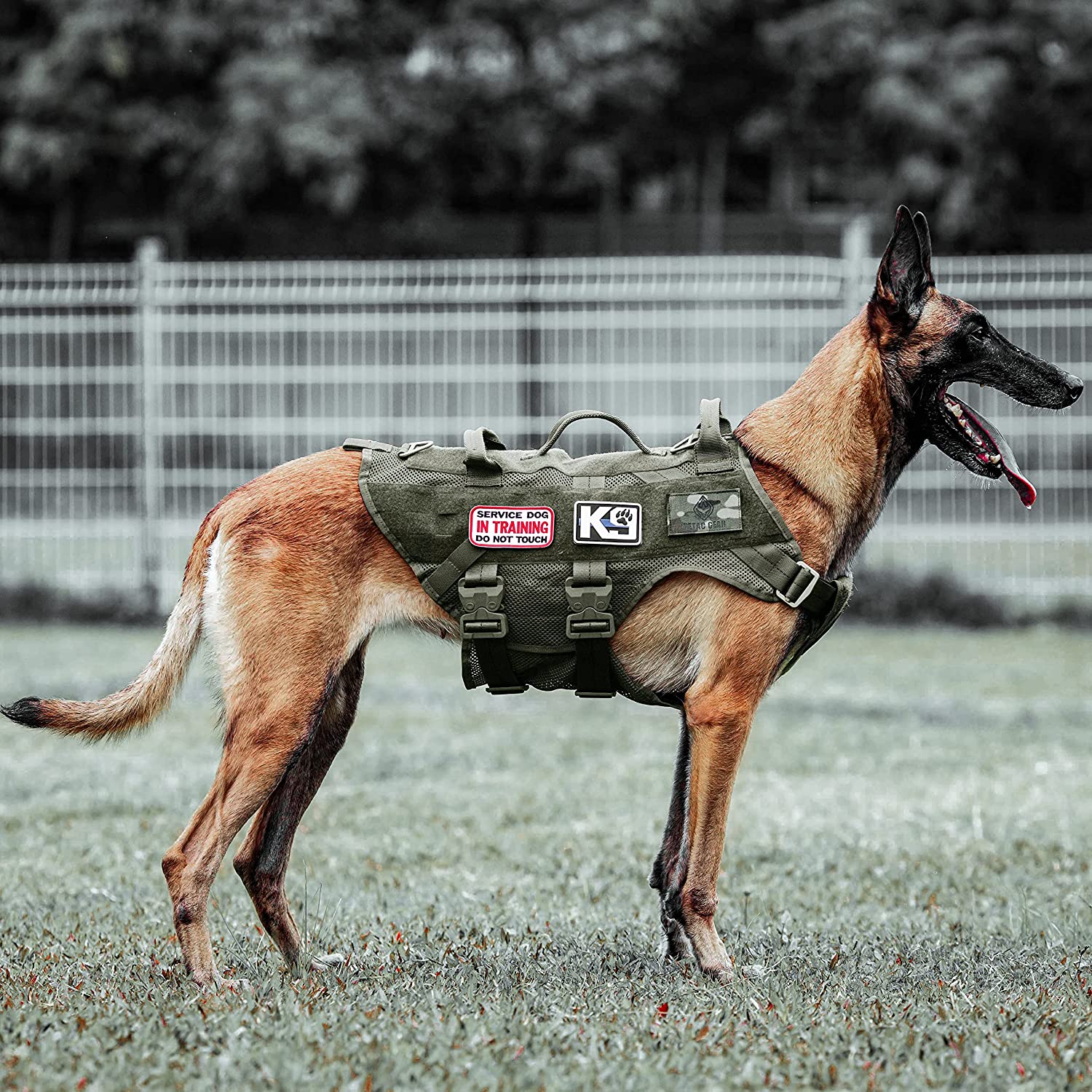 مهار سگ تاکتیکی بدون کشش برای سگ‌های بزرگ K9 برند : PETAC GEAR  کد : G 360