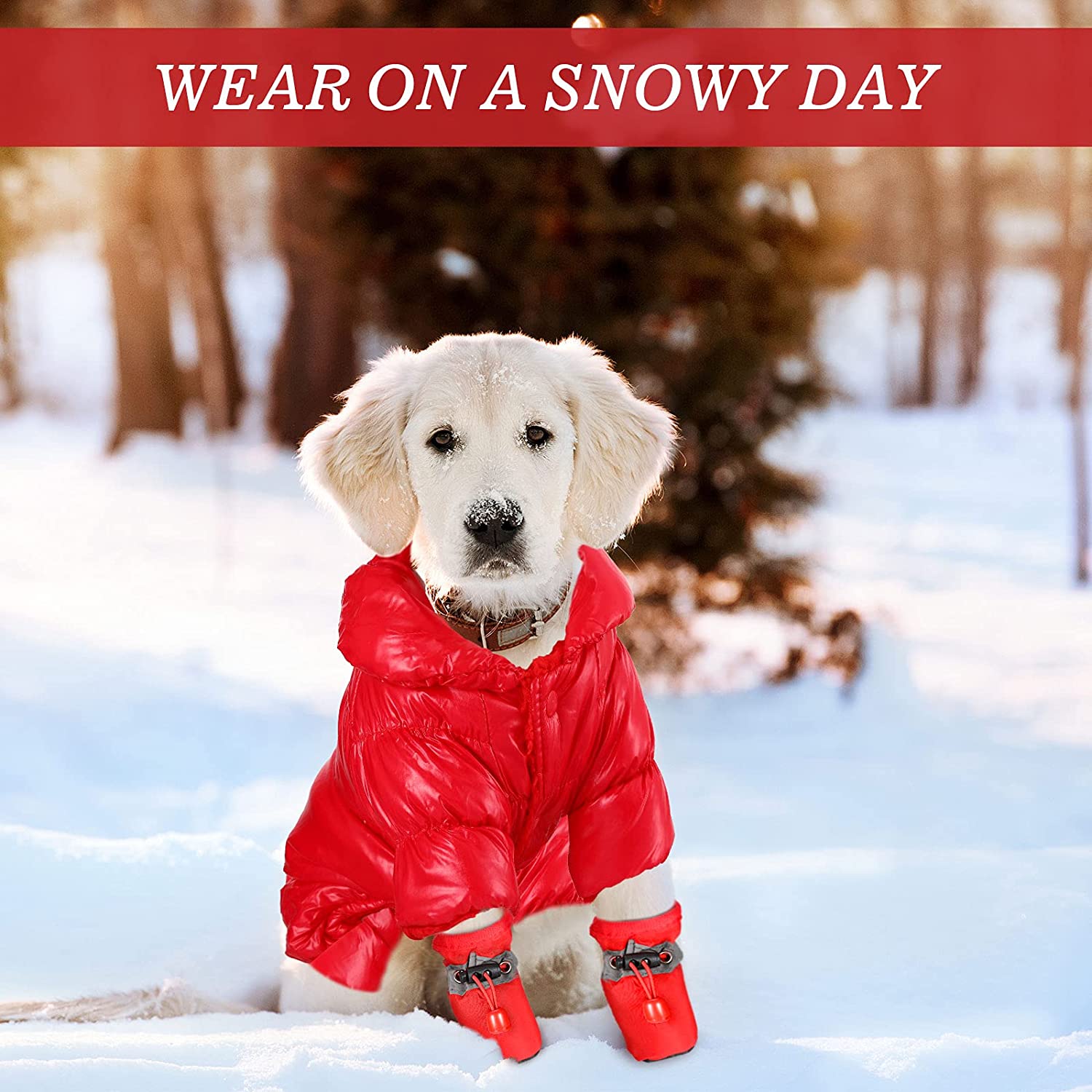 ژاکت سگ گرم در بسته شدن دکمه طراحی شده است که پوشیدن و درآوردن آن آسان است