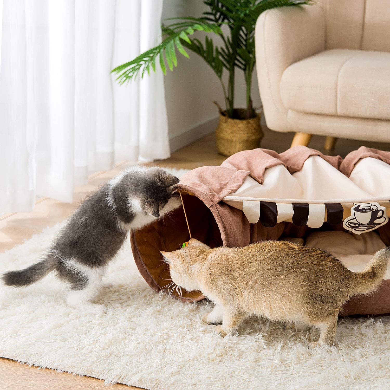 تخت گربه میکروفیبر بادوام بدون اینکه نرمی را برای راحتی دلخواه از بین ببرد، استحکام را به دست می آورد. منطقه خواب کرکی همراه با چاشنی کامل باعث ایجاد پفکی در تمام طول سال می شود