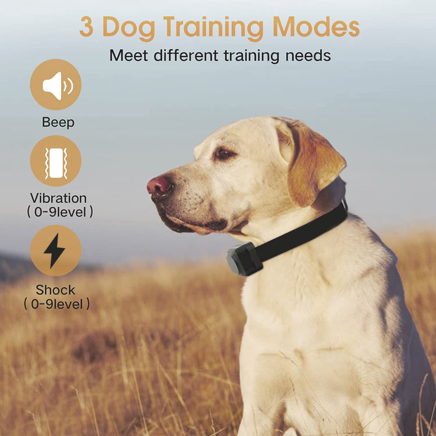  قلاده آموزش سگ با ریموت دارای تنظیمات کانال 1+2 حالت 2 کانال و 3 کانال می باشد که می توانید بدون تغییر کانال به طور همزمان دو سگ را تربیت کنید.