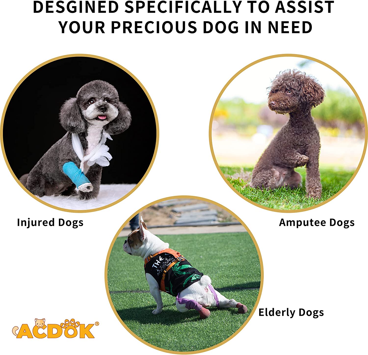طراحی سگک های ایمنی برای تنظیم سفتی آسان است، بدون طراحی قلاب و حلقه، موها را نمی چسباند و به پوست سگ آسیب نمی رساند، پارچه های نرم و قابل تنفس انتخاب شده است، بادوام و قابل شستشو است و از گرمای تند برای سگ شما جلوگیری می کند.