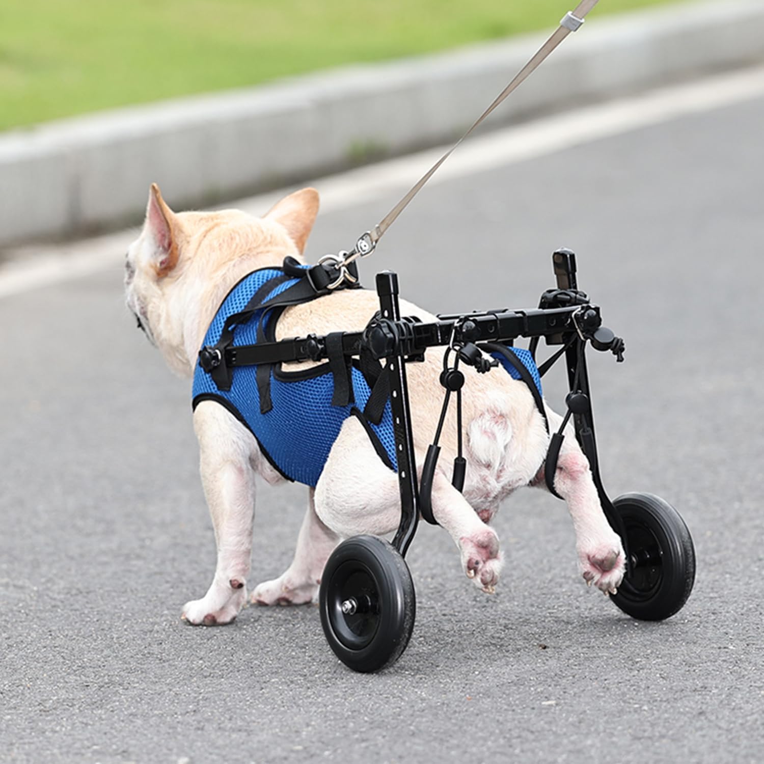 ویلچر سگ قابل تنظیم برای پاهای پشتی  برند: LekLai  کد : W 250
