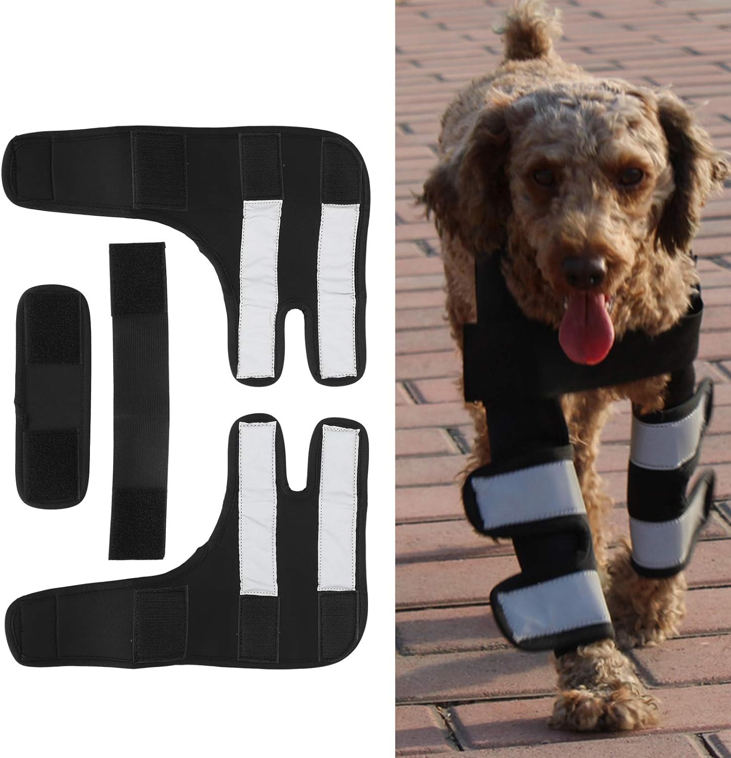 آرنج بند سگ ، محافظ آرنج سگ ، از پارچه ضد ضربه الاستیک برند: Fockety  کد : AZ 700