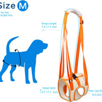 بند/ لیش نگهدارنده پاهای عقب سگ فلج ، مخصوص سگهای بیمار ، مسن و پیر برند: QIYADIN کد : AB 605