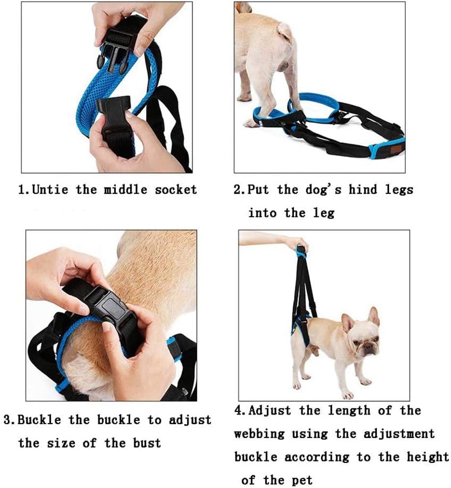 تسمه توانبخشی پاهای عقب سگ ، بازیابی جراحی پا، کمک به راه رفتن برند : BLZQSQ  کد : AM 606