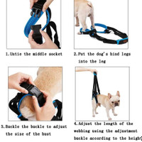 تسمه توانبخشی پاهای عقب سگ ، بازیابی جراحی پا، کمک به راه رفتن برند : BLZQSQ  کد : AM 606