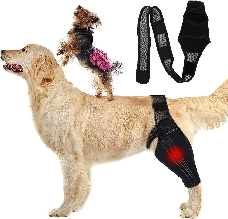پد محافظ آرنج سگ ، آستین محافظ شانه و ران سگ برند : Asixxsix  کد : AZ 720