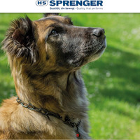 قلاده آموزشی سگ هرم اسپرنگر ، قلاده آموزش چوک ساخت آلمان برند : HS HERM SPRENGER  کد : GP 770