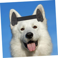 پایه عمودی اصلاحی برای گوش سگ خانگی برند : TERRIFI  گد : GO 500