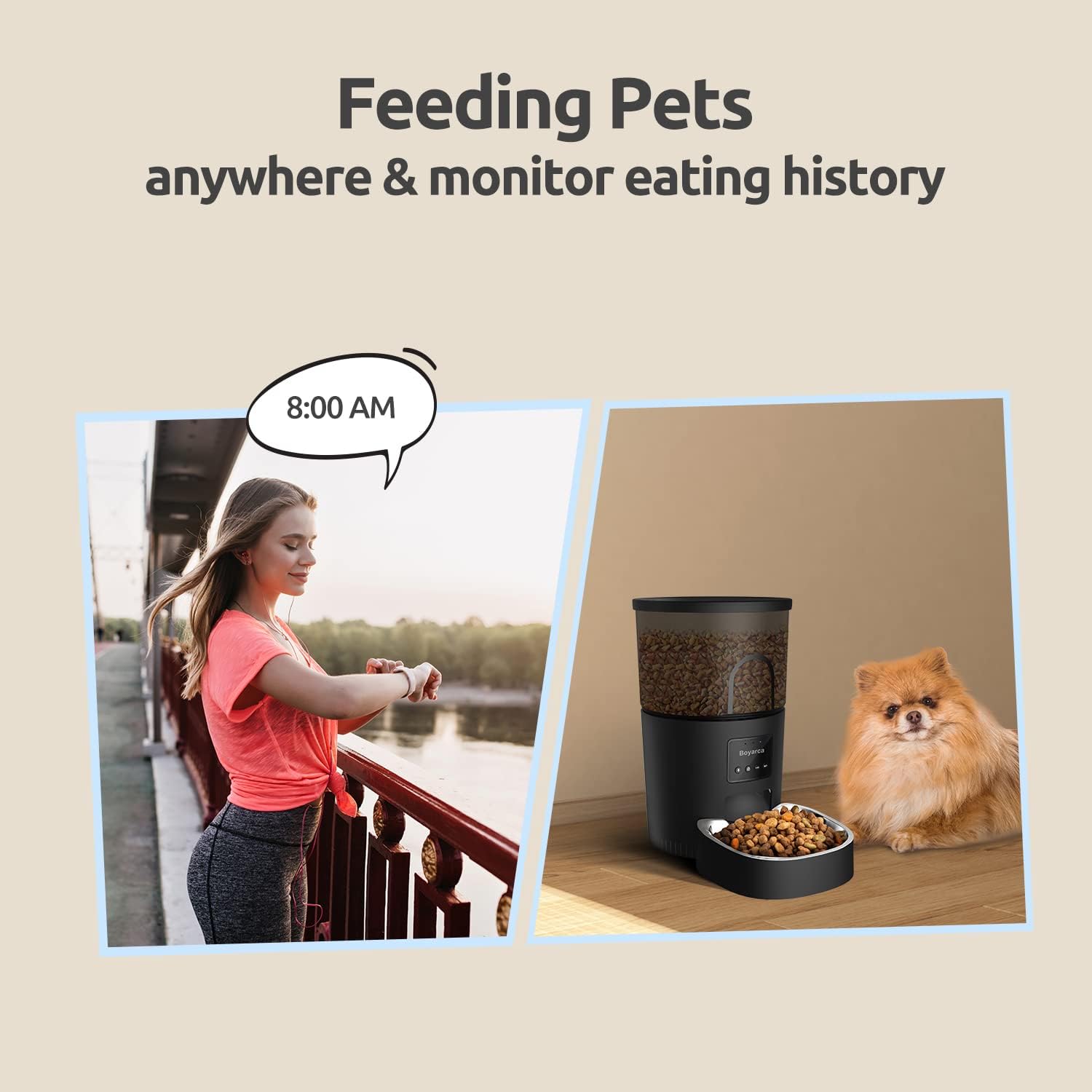تغذیه گربه خودکار با برنامه ، وای فای ،  3 لیتری ، قابل برنامه ریزی، تماس صوتی، 1-12 وعده غذایی در روز ، برند :  Boyarca  کد : F 148