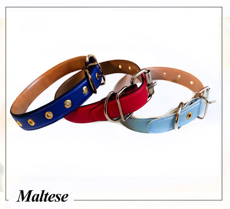 تهیه شده از چرم مصنوعی در رنگهای شاد، مخصوص سگهای بازیگوش و سبک وزن.