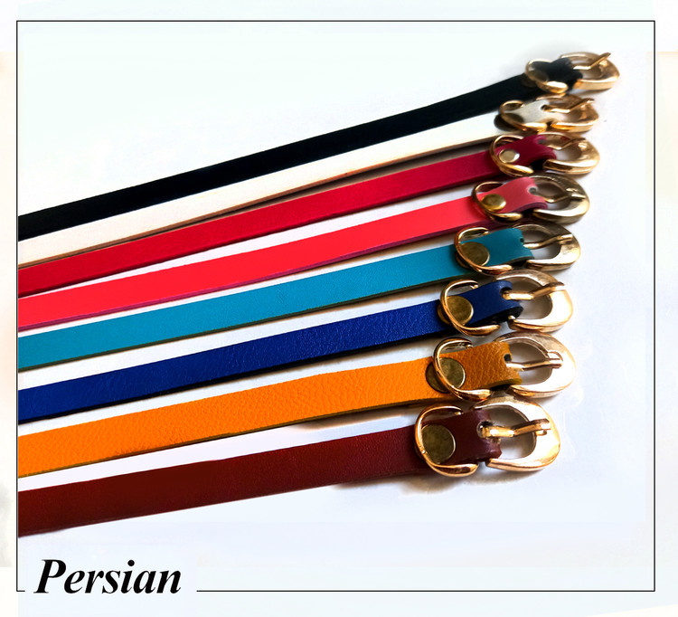 قلاده مالتیز تهیه شده از چرم مصنوعی مرغوب مناسب سگهای تزئینی و گربه.